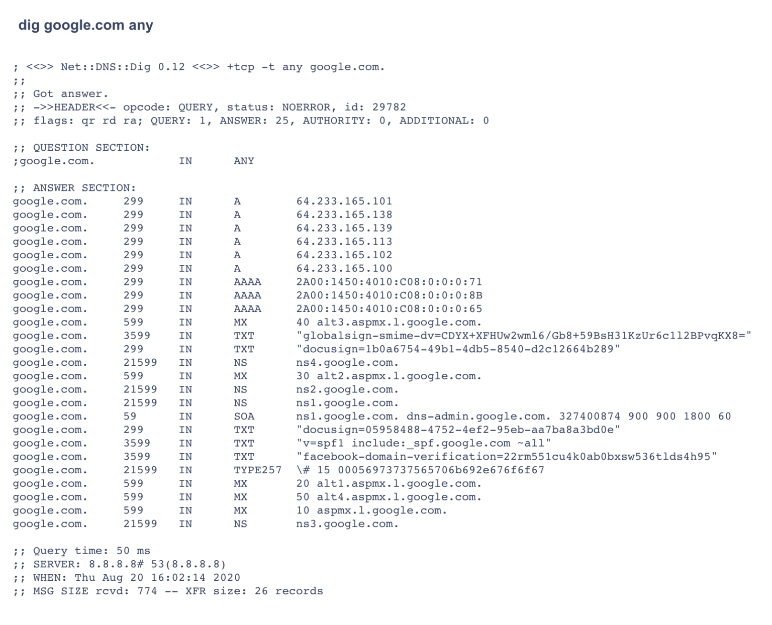 Dig dns